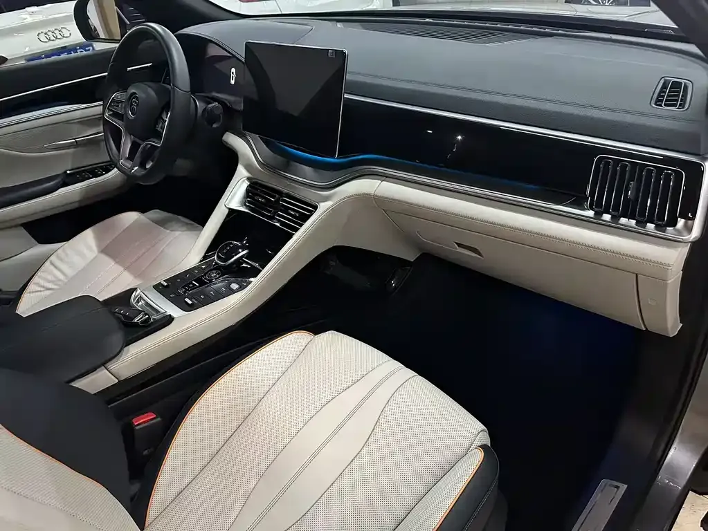BYD PLUS New Energy 2023 из CN, фото 4