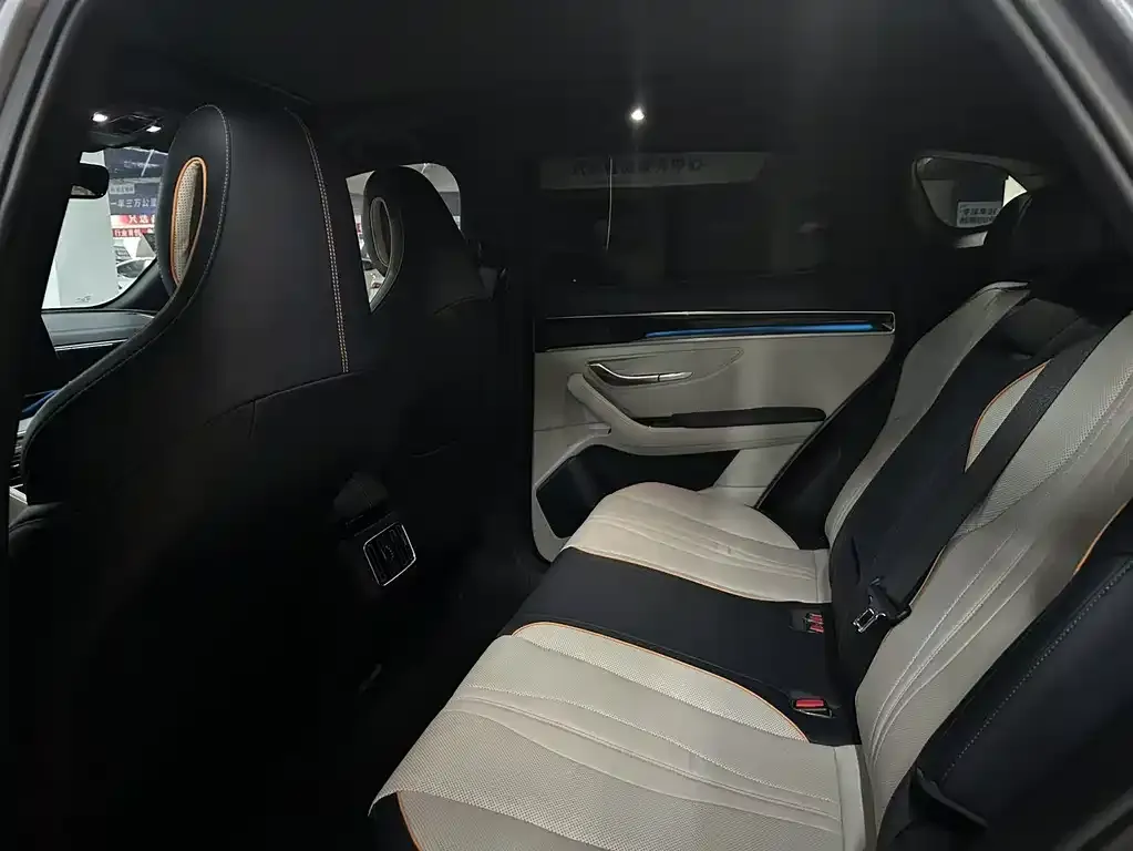 BYD PLUS New Energy 2023 из CN, фото 5