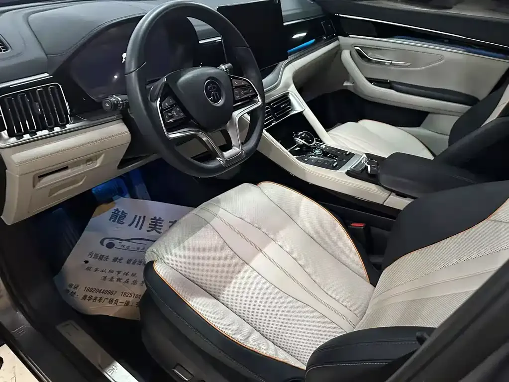 BYD PLUS New Energy 2023 из CN, фото 6