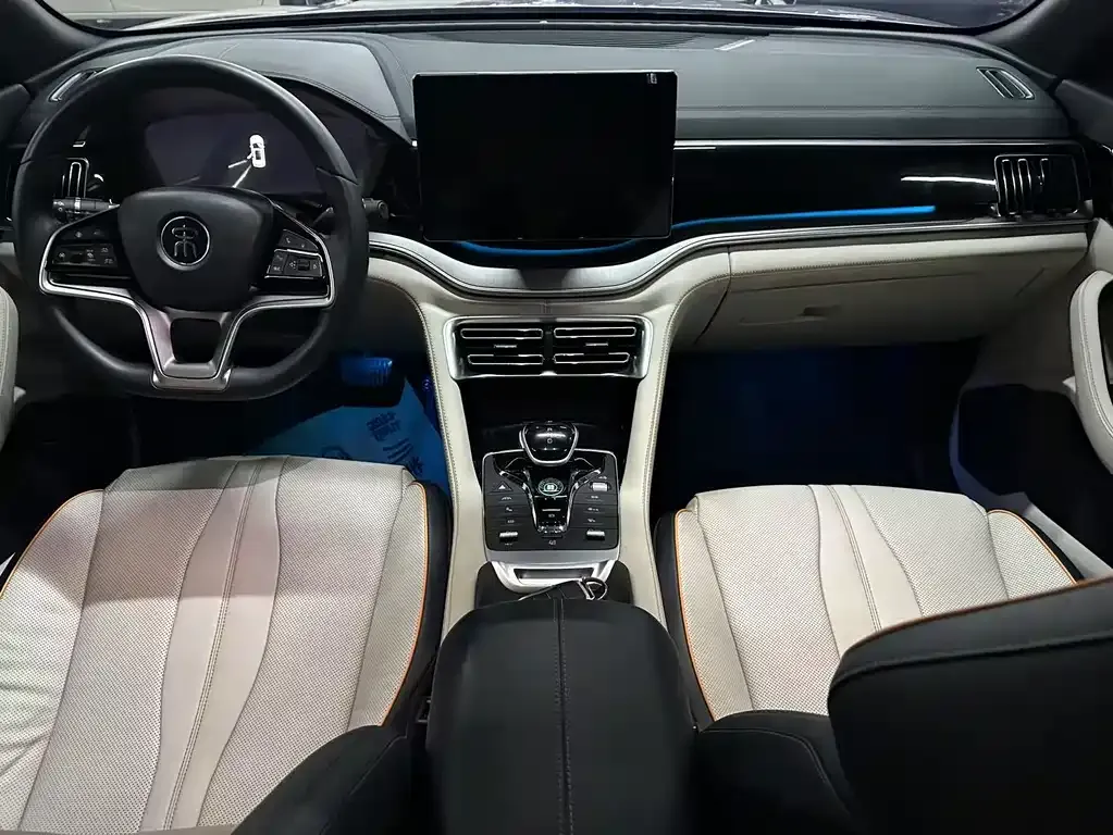 BYD PLUS New Energy 2023 из CN, фото 7