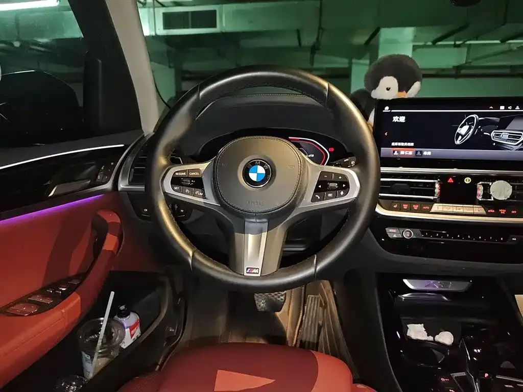 BMW X3 2021 из CN, фото 3