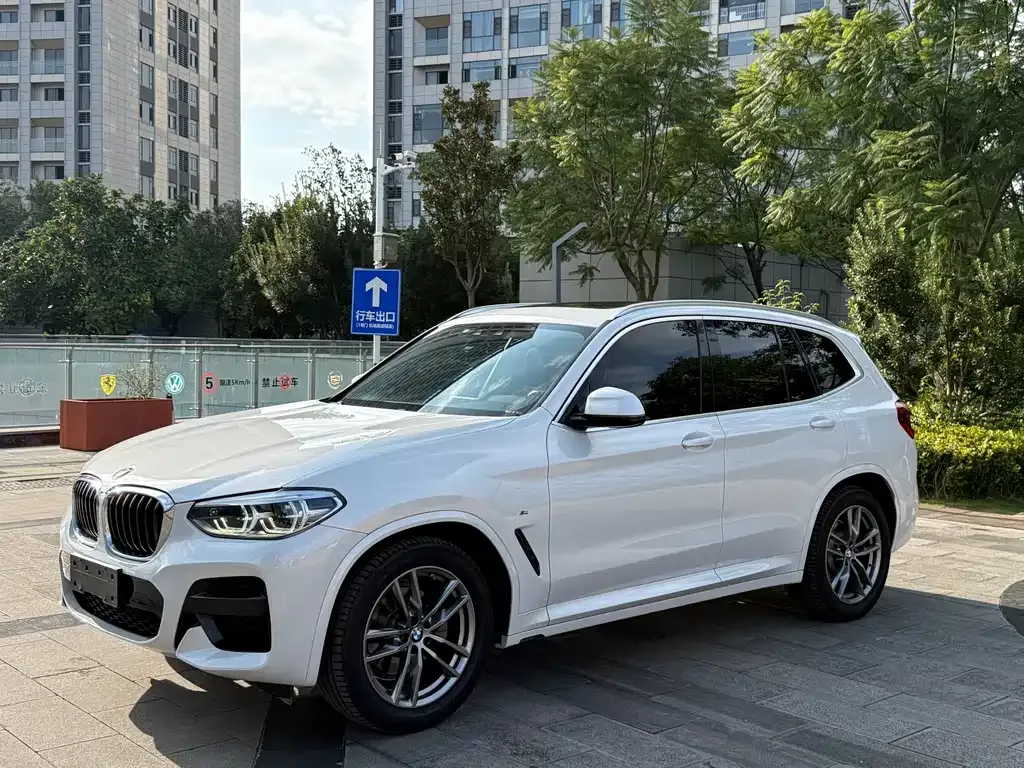 BMW X3 2021 из CN, фото 1