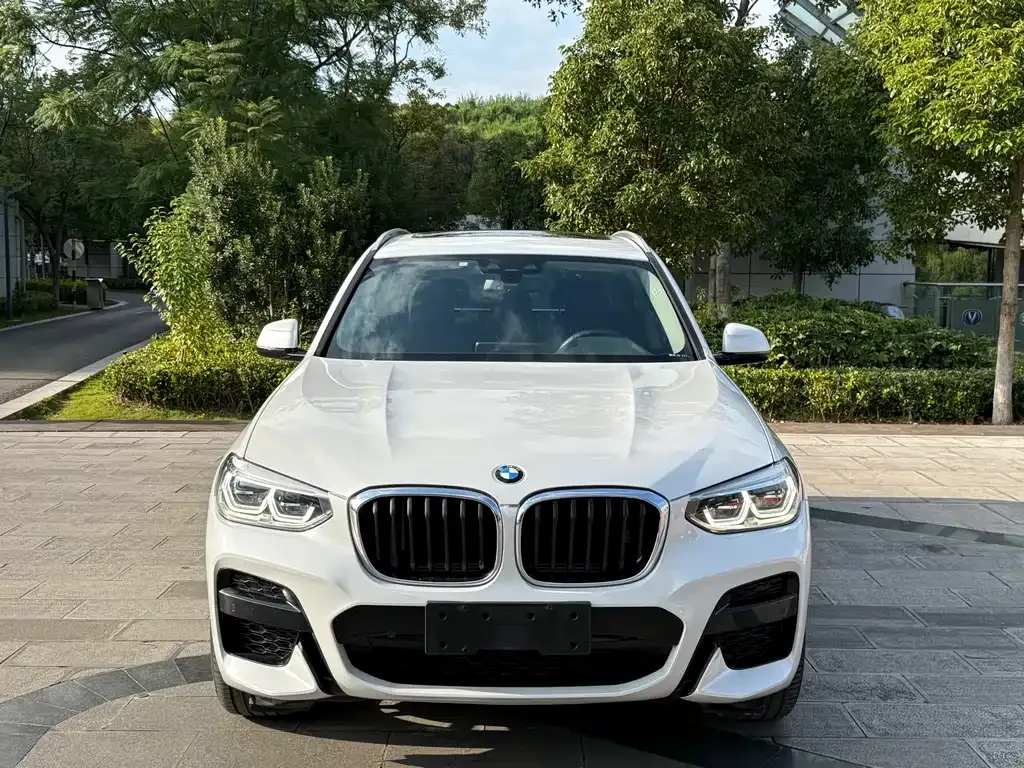 BMW X3 2021 из CN, фото 2