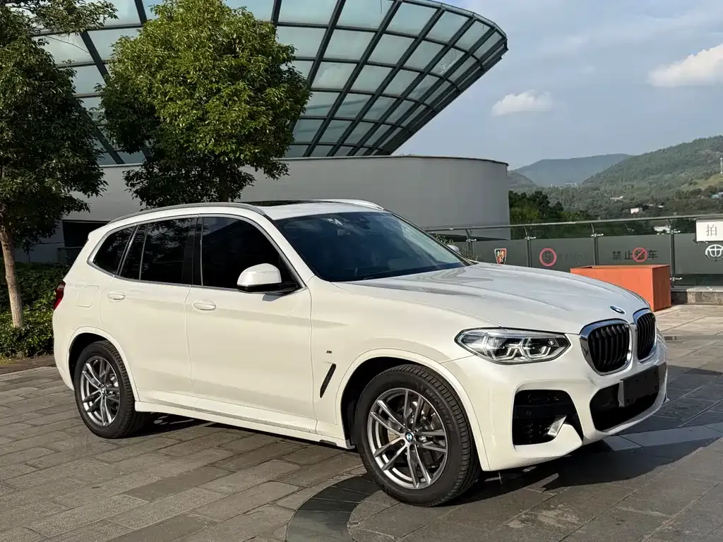 BMW X3 2021 из CN, фото 3