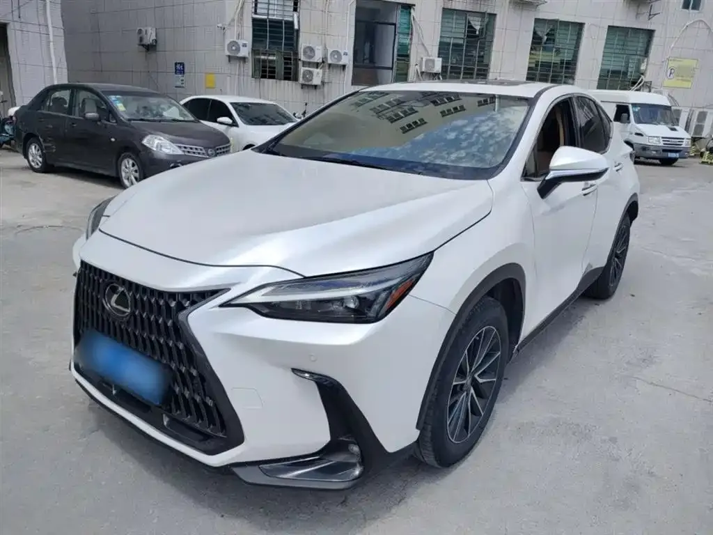 Lexus NX 2022 из CN, фото 1