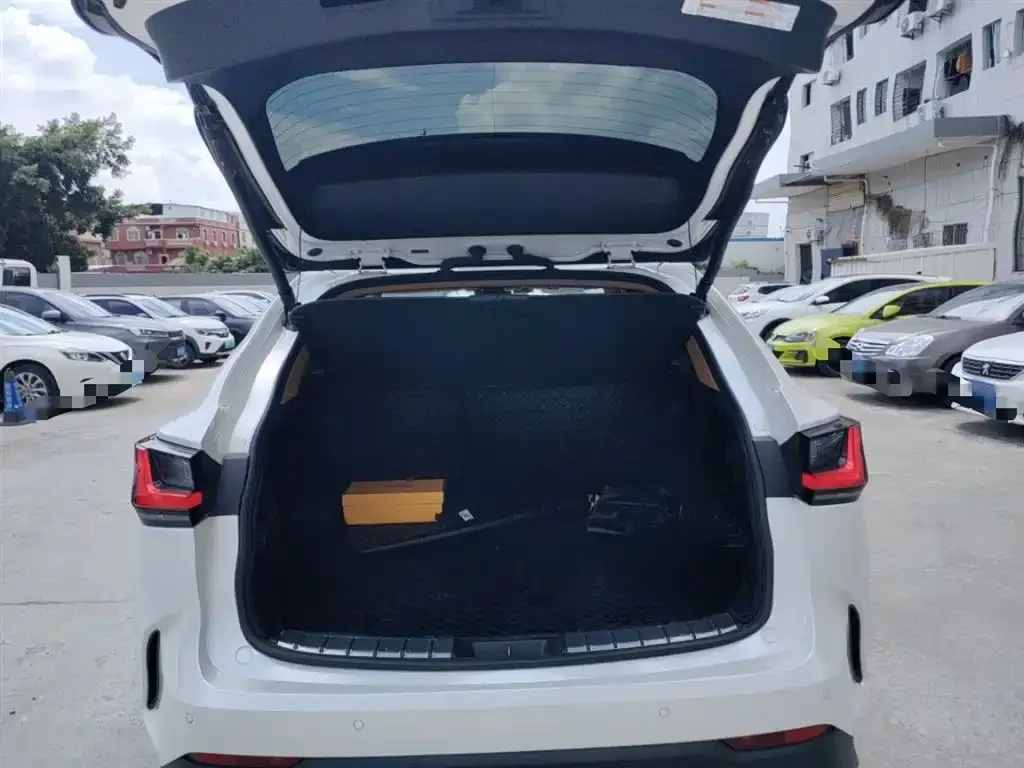 Lexus NX 2022 из CN, фото 10
