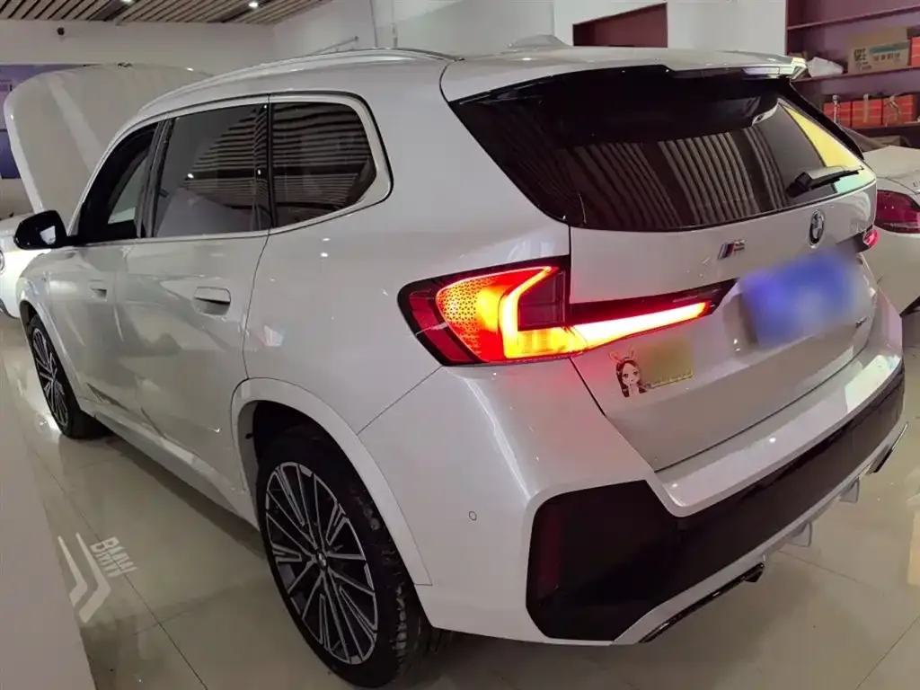 BMW X1 2024 из CN, фото 6