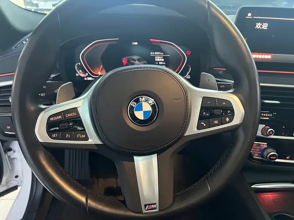 BMW 5 Series 2022 из CN, фото 10