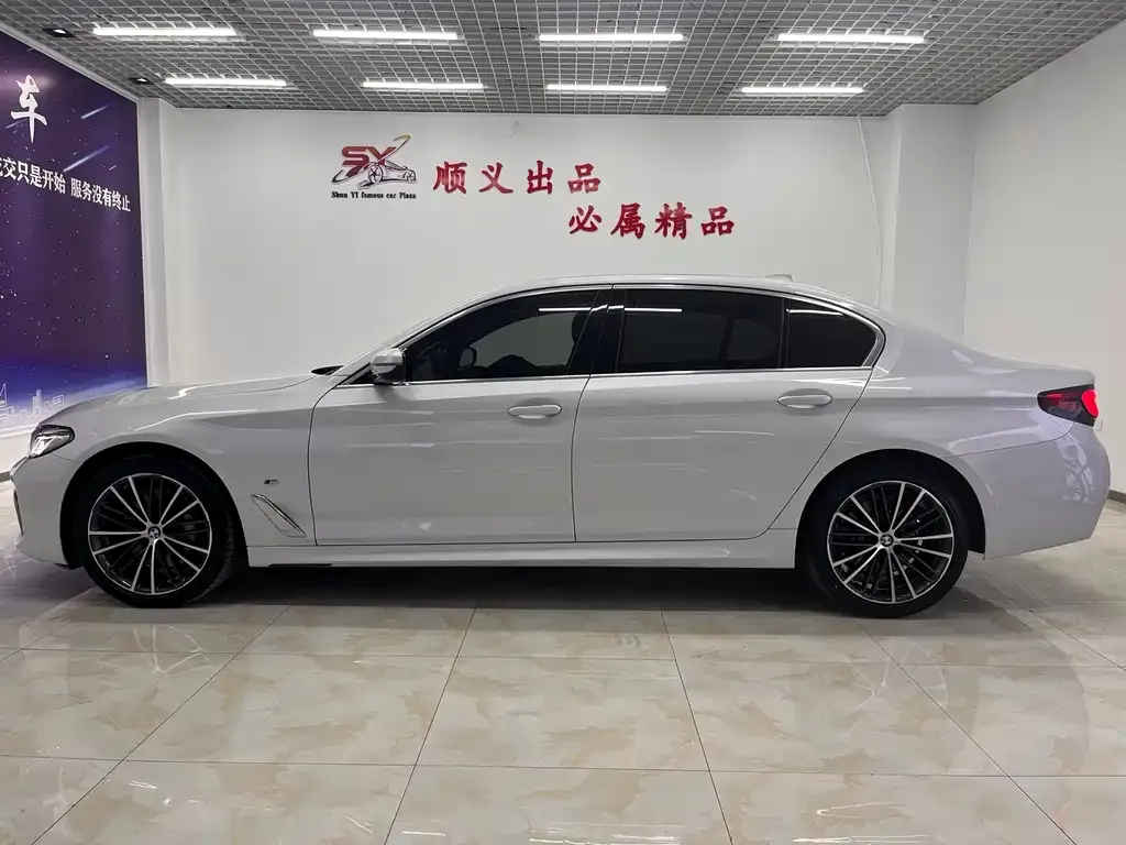 BMW 5 Series 2022 из CN, фото 3