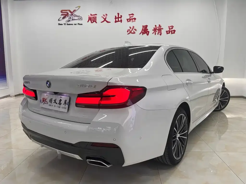 BMW 5 Series 2022 из CN, фото 4
