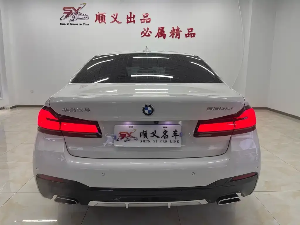 BMW 5 Series 2022 из CN, фото 5