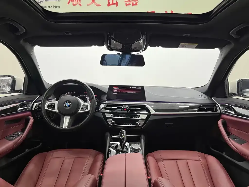 BMW 5 Series 2022 из CN, фото 8