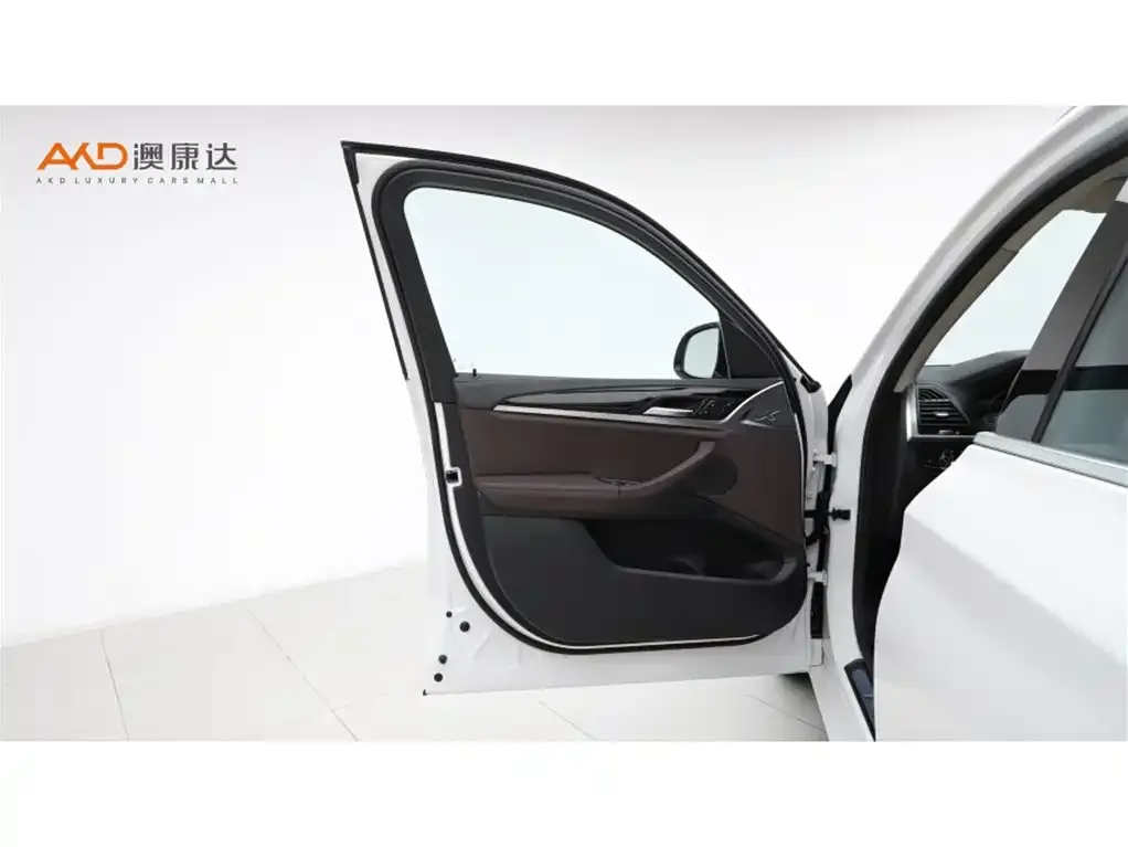 BMW X3 2021 из CN, фото 10