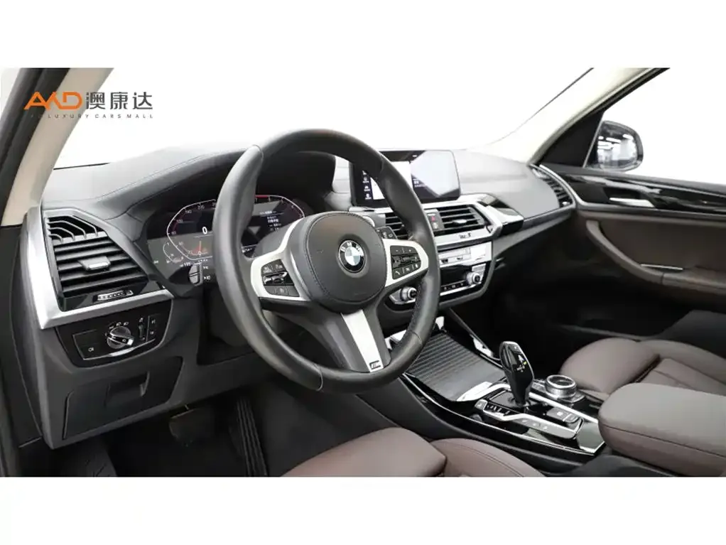 BMW X3 2021 из CN, фото 6