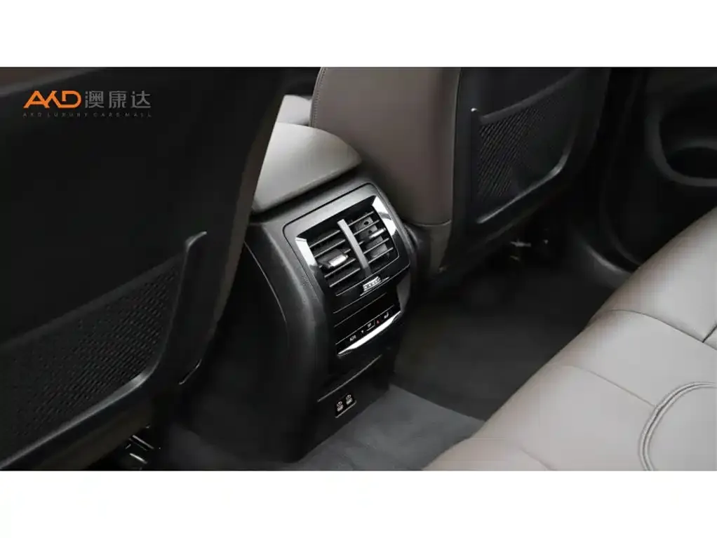 BMW X3 2021 из CN, фото 9