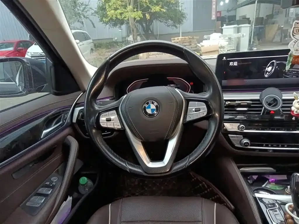 BMW 5 Series 2021 из CN, фото 3