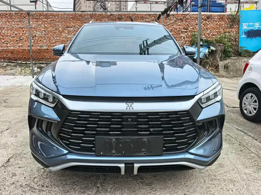 BYD Pro New Energy 2023 из CN, фото 2