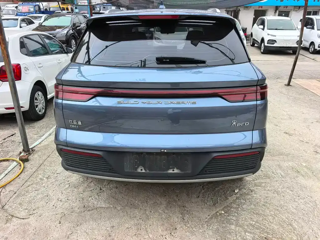 BYD Pro New Energy 2023 из CN, фото 5