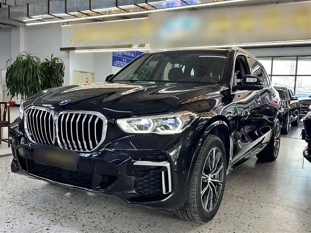 BMW X5 2022 из CN, фото 2