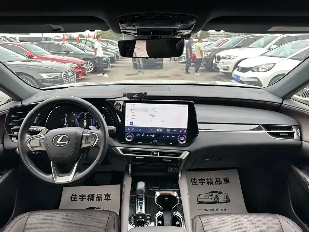 Lexus RX New Energy 2024 из CN, фото 10