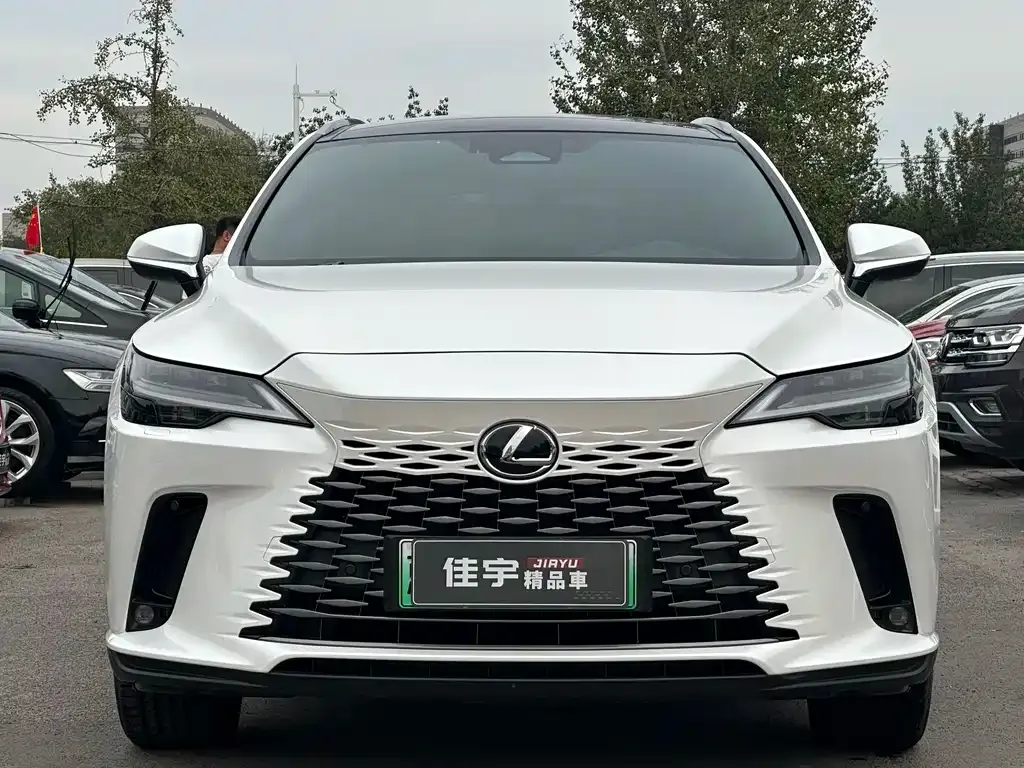 Lexus RX New Energy 2024 из CN, фото 2