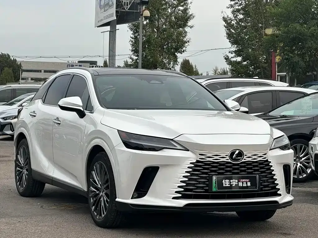 Lexus RX New Energy 2024 из CN, фото 3