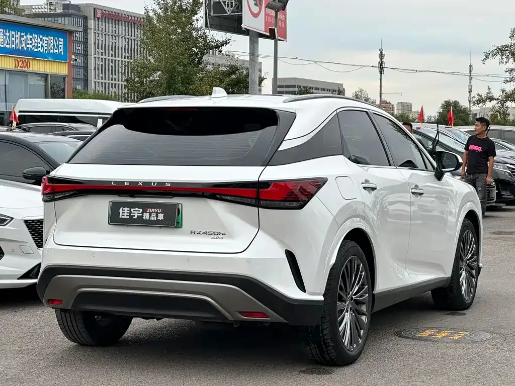 Lexus RX New Energy 2024 из CN, фото 4