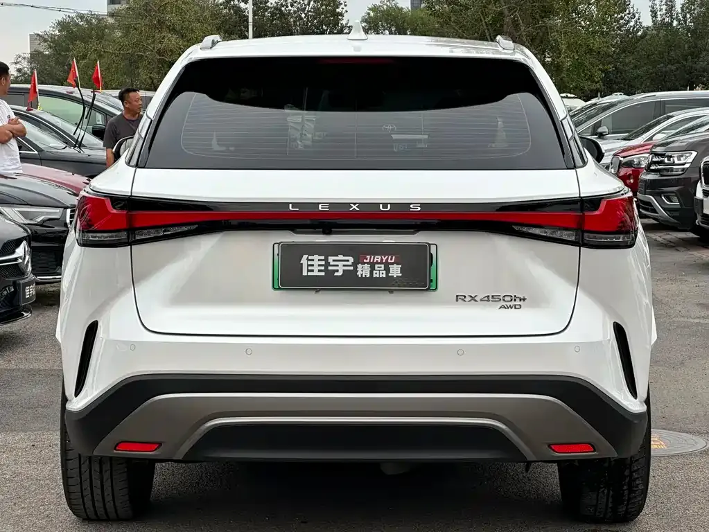 Lexus RX New Energy 2024 из CN, фото 5