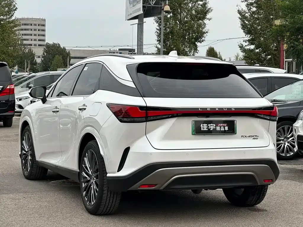 Lexus RX New Energy 2024 из CN, фото 6