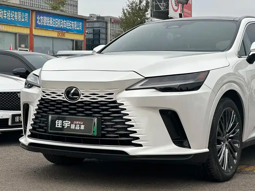 Lexus RX New Energy 2024 из CN, фото 7