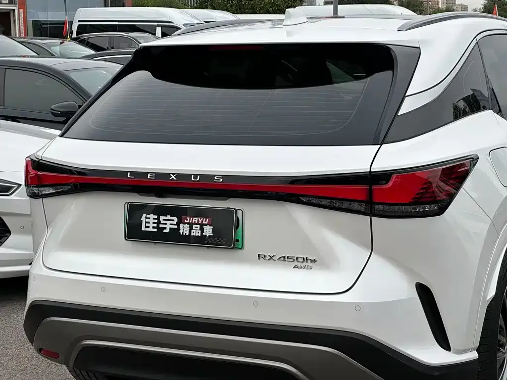 Lexus RX New Energy 2024 из CN, фото 8