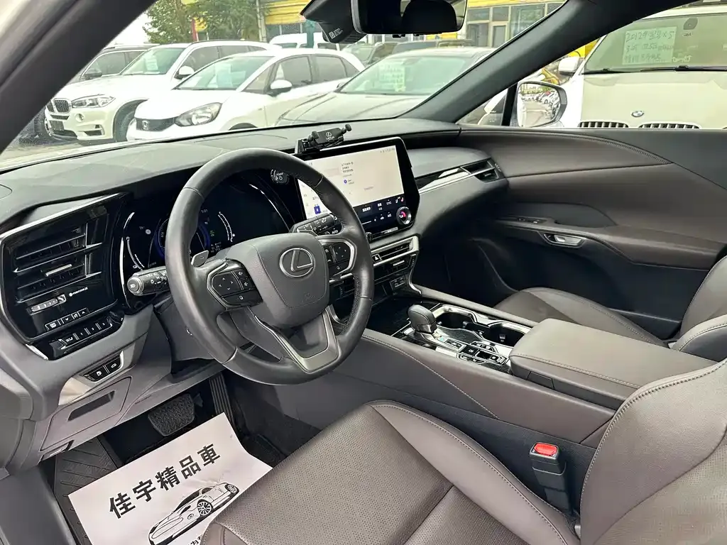 Lexus RX New Energy 2024 из CN, фото 9