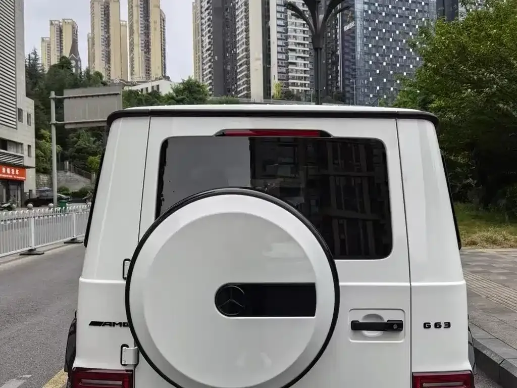 Mercedes-Benz G-Class 2021 из CN, фото 2