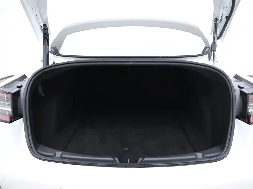 Tesla Model 3 2023 из CN, фото 6