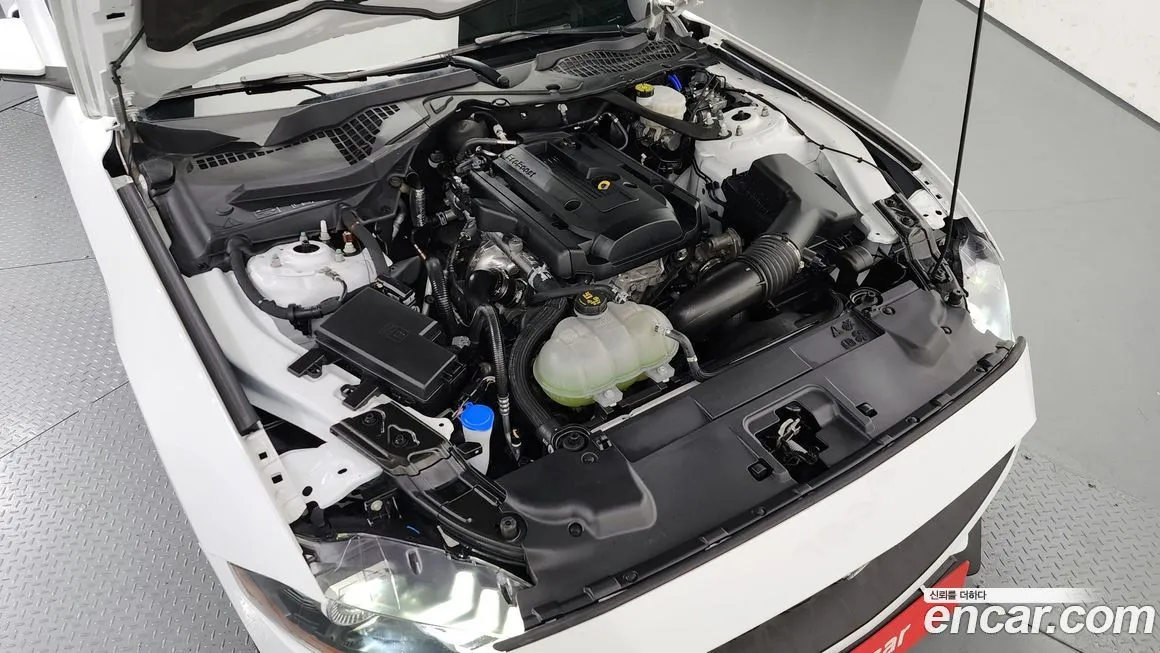 Ford Mustang 2023 из KR, фото 6