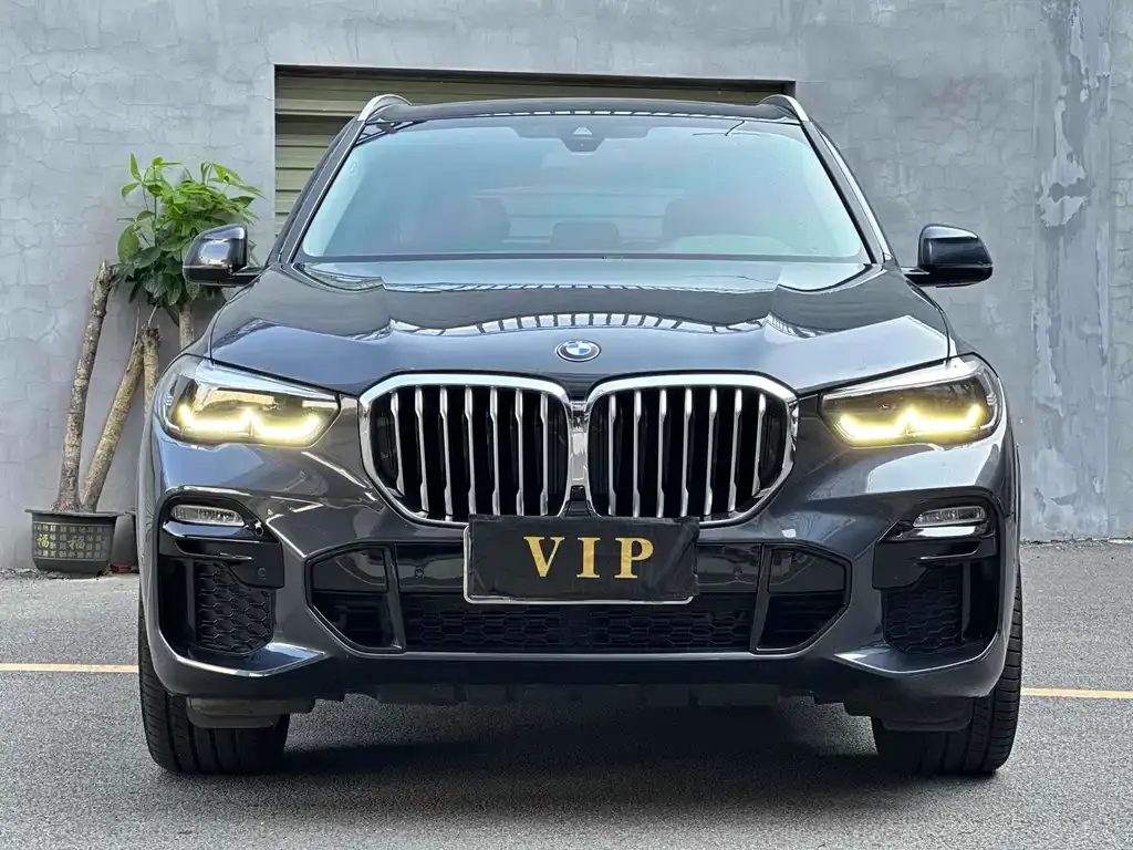 BMW X5 2022 из CN, фото 2