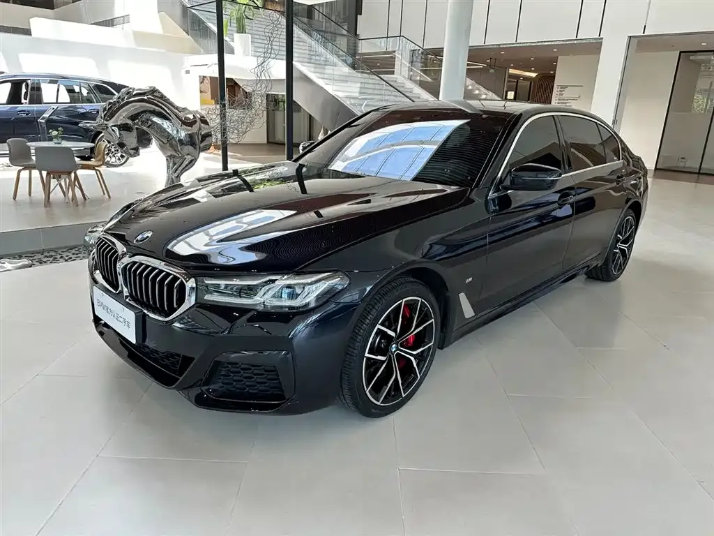BMW 5 Series 2022 из CN, фото 1