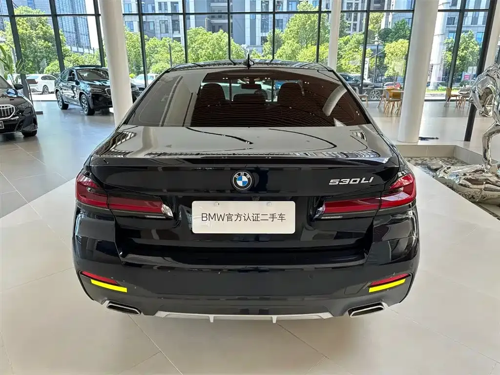BMW 5 Series 2022 из CN, фото 3