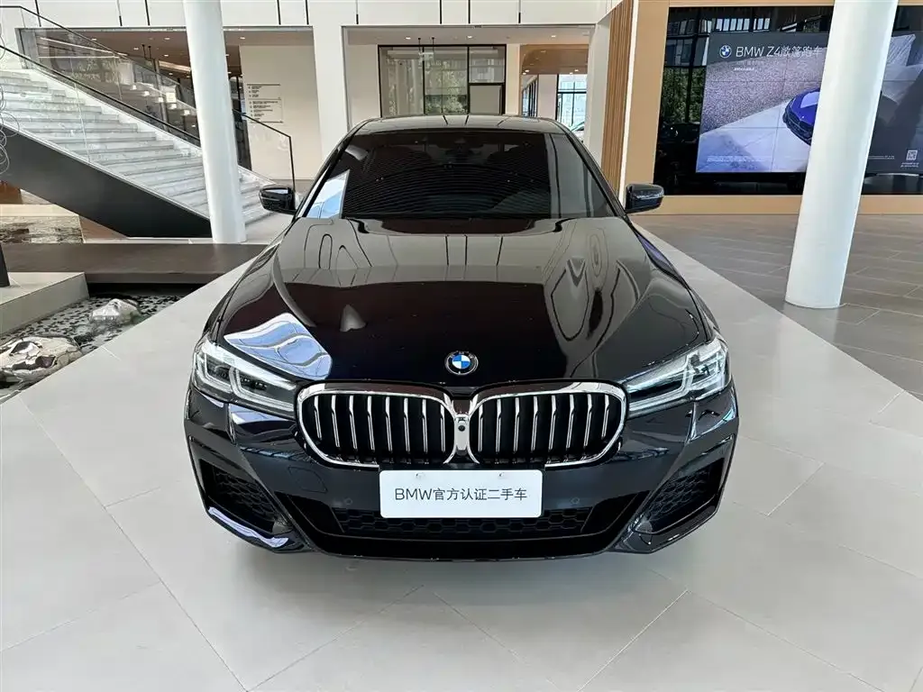 BMW 5 Series 2022 из CN, фото 6