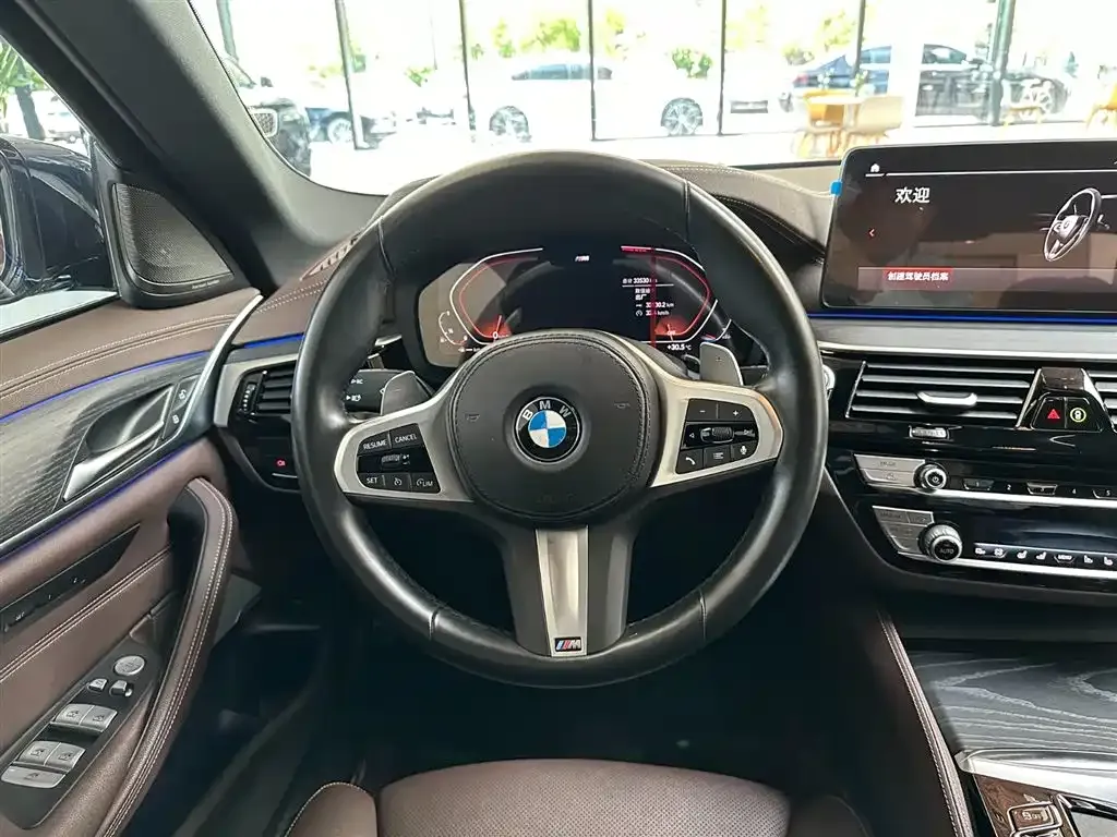 BMW 5 Series 2022 из CN, фото 8
