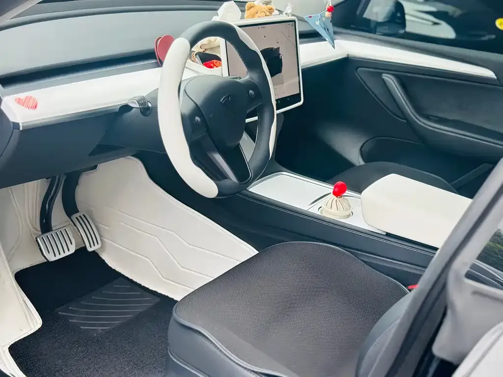 Tesla Model Y 2024 из CN, фото 5