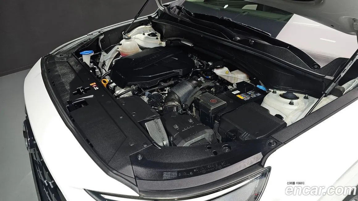 Hyundai Santafe 2021 из KR, фото 6