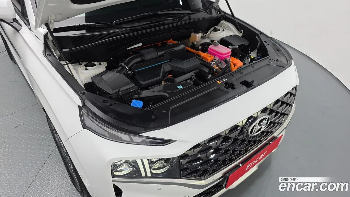 Hyundai Santafe 2023 из KR, фото 6