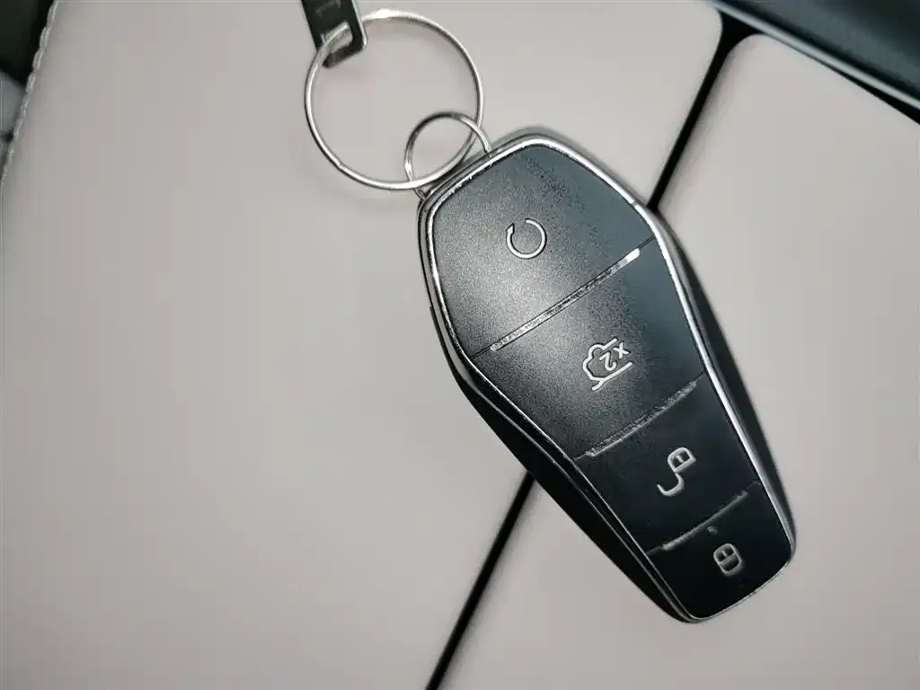BYD Tang New Energy 2024 из CN, фото 9