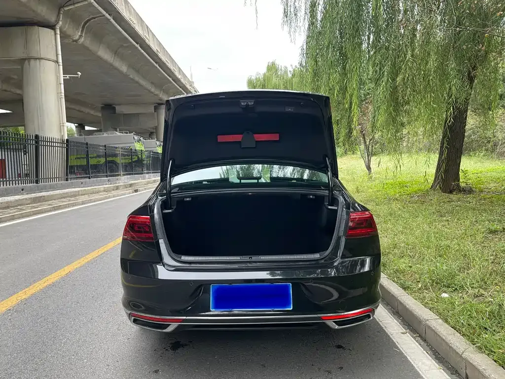Volkswagen Magotan 2021 из CN, фото 6