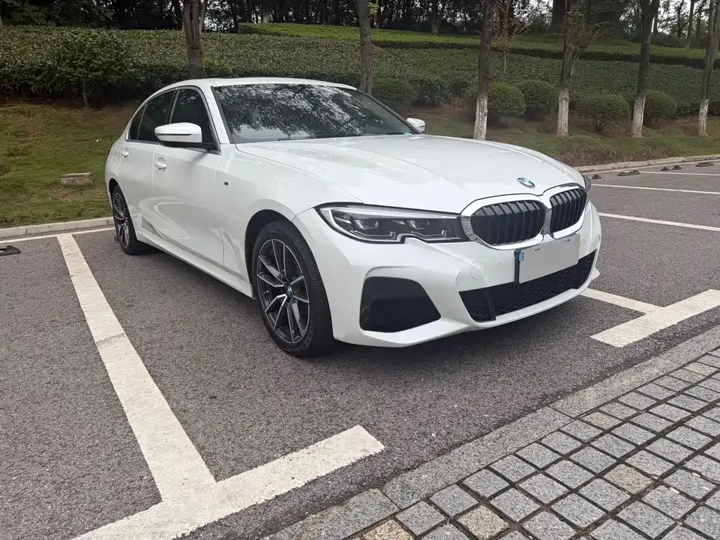 BMW 3 Series 2022 из CN, фото 3