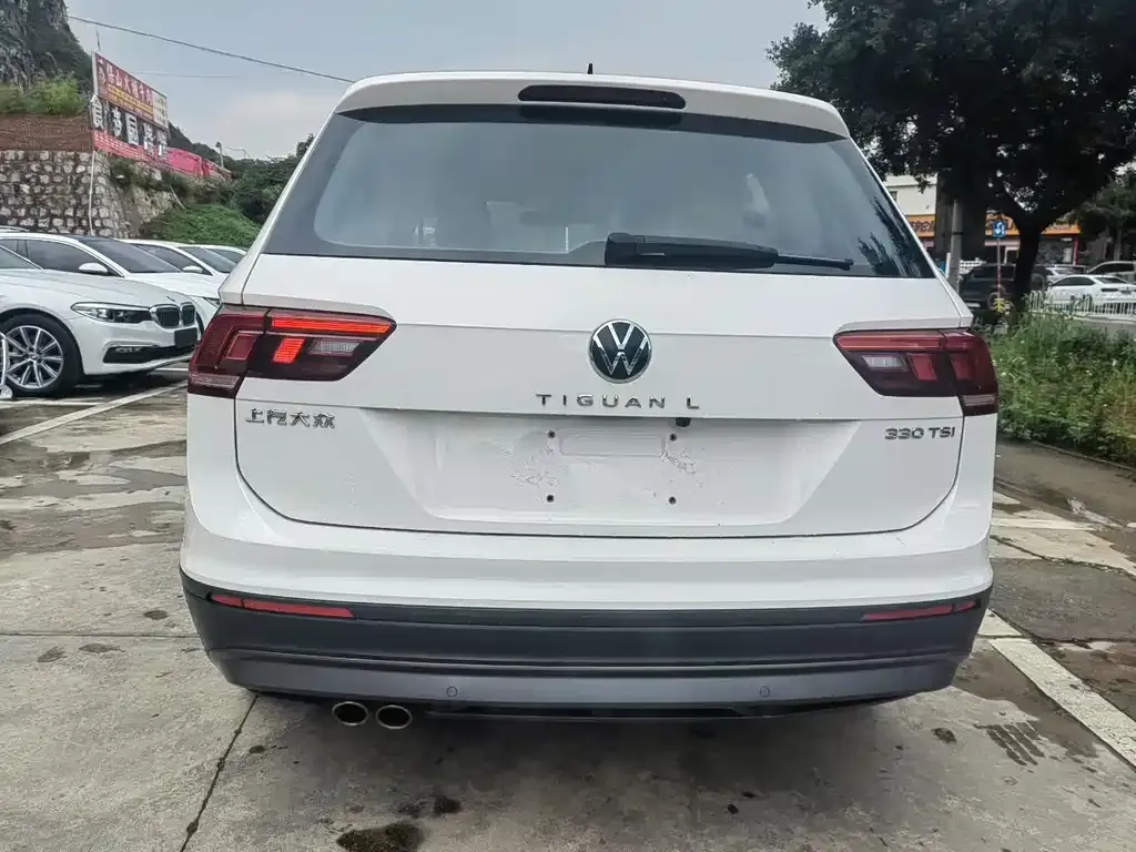 Volkswagen Tiguan L 2021 из CN, фото 6