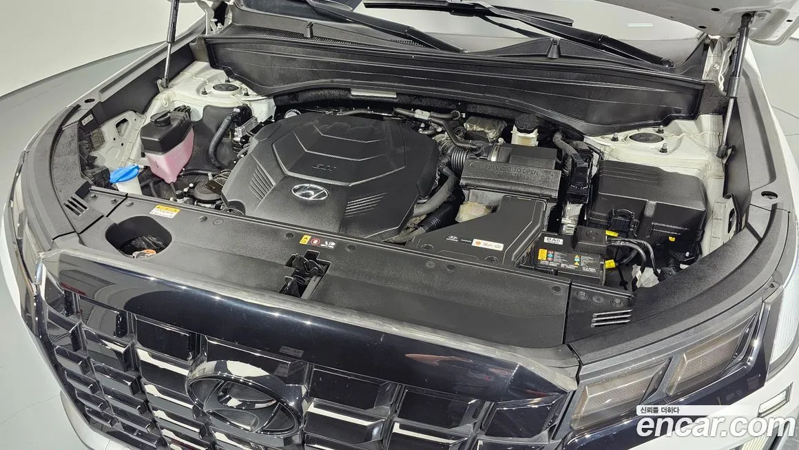 [object Object] Palisade 2023 из KR, фото 6