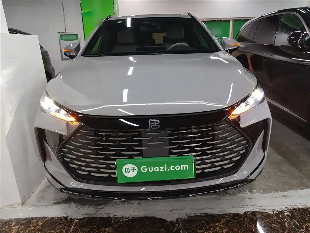 BYD Tang New Energy 2024 из CN, фото 3