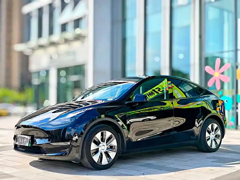 Tesla Model Y 2021 из CN, фото 1